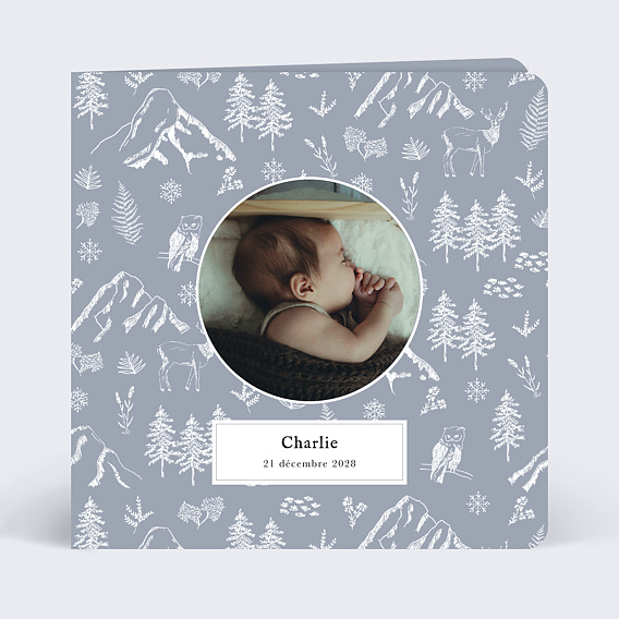 Faire part naissance Pattern Hiver Recto