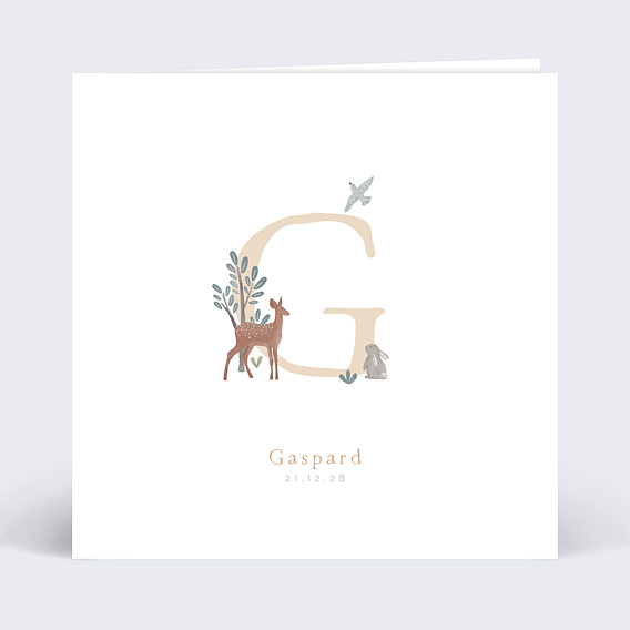 Faire part naissance Petite Prairie Recto