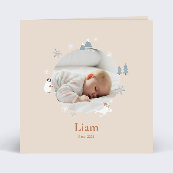 Faire part naissance Pingouin Recto