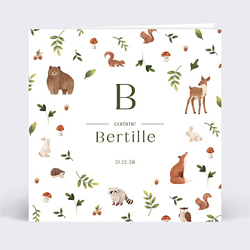 Faire-part Naissance Lettrine Foret