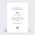 Faire part naissance Jouets terracotta Verso