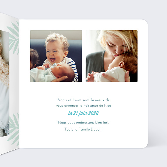 Faire part naissance Famille Animaux Intérieur Droit