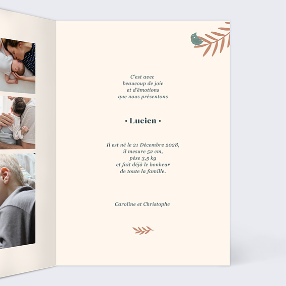 Faire part naissance Mésange Prénom Intérieur Droit