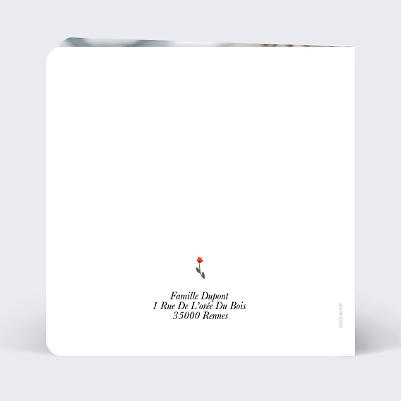 Faire part naissance Bébé de la montagne Verso