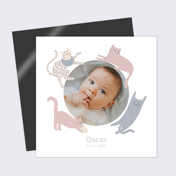 Faire part naissance Couronne de Chats