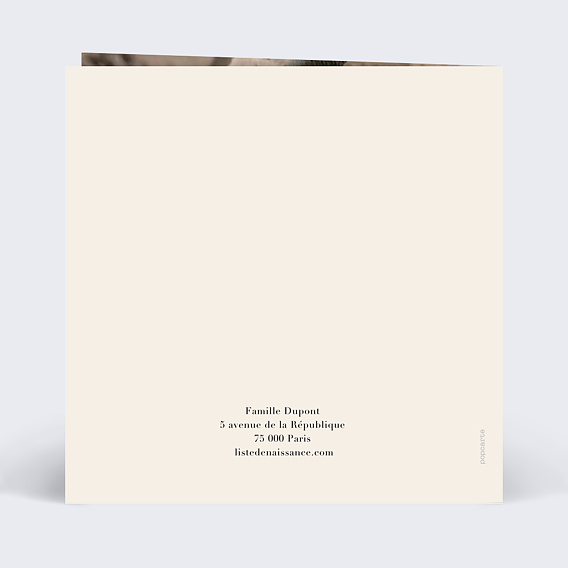 Faire part naissance Arbre généalogique II Verso