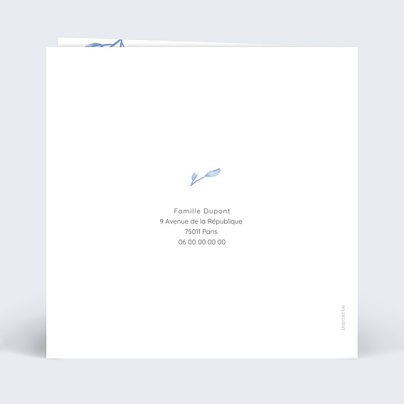 Faire part naissance Bleuet Verso