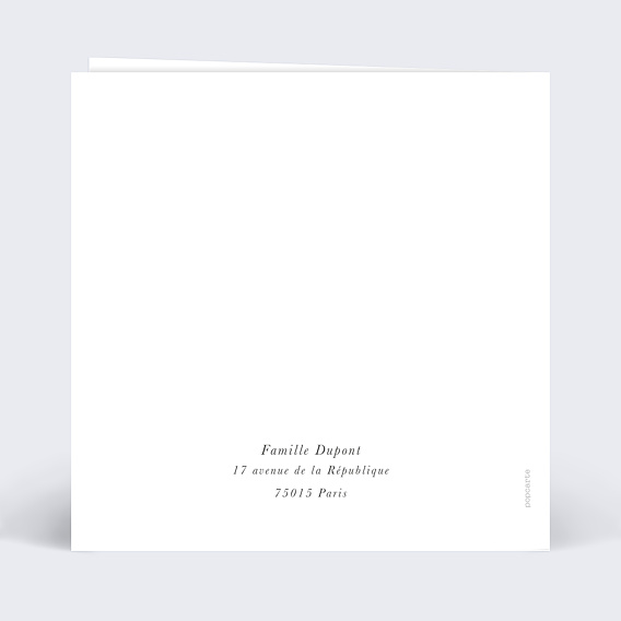 Faire part naissance Certificat Tableau Verso