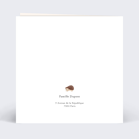 Faire part naissance Découpe Forêt Verso