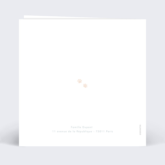 Faire part naissance Famille chat Verso