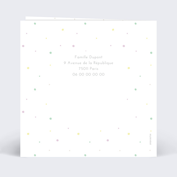 Faire part naissance Famille Verso