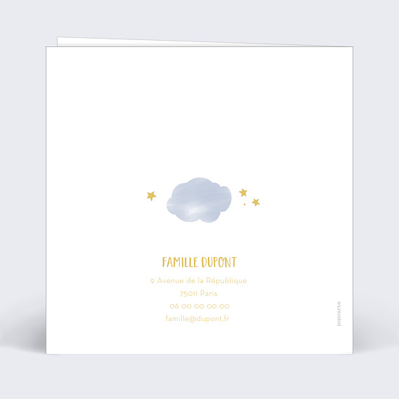 Faire part naissance Lettrine Constellation Verso