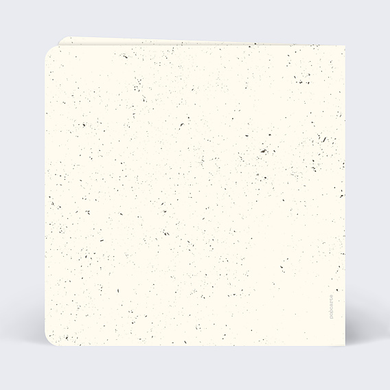 Faire part naissance Marbre Acidulé Verso