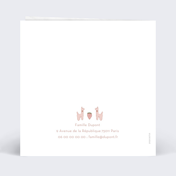 Faire part naissance Mobile Verso