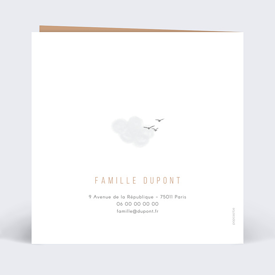 Faire part naissance Petit Aviateur Verso
