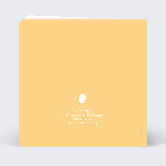 Faire part naissance Petit Poussin Verso