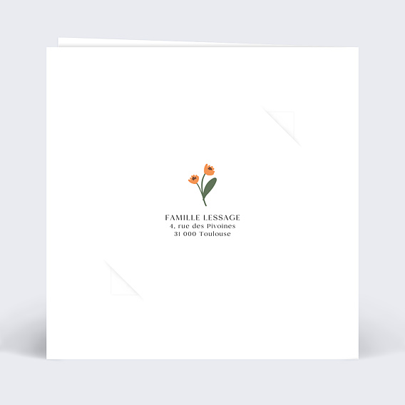 Faire part naissance Petite Graine Verso