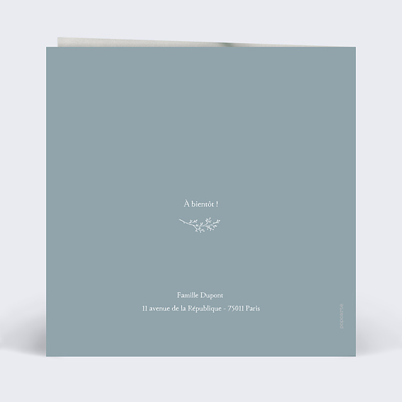 Faire part naissance Photo Brindille Verso