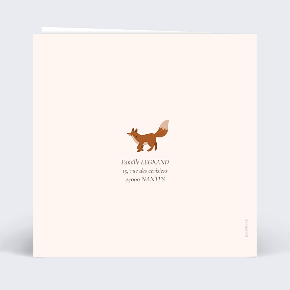 Faire part naissance Picto forêt Verso