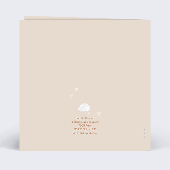 Faire part naissance Pingouin Verso