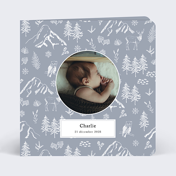 Faire part naissance Pattern Hiver