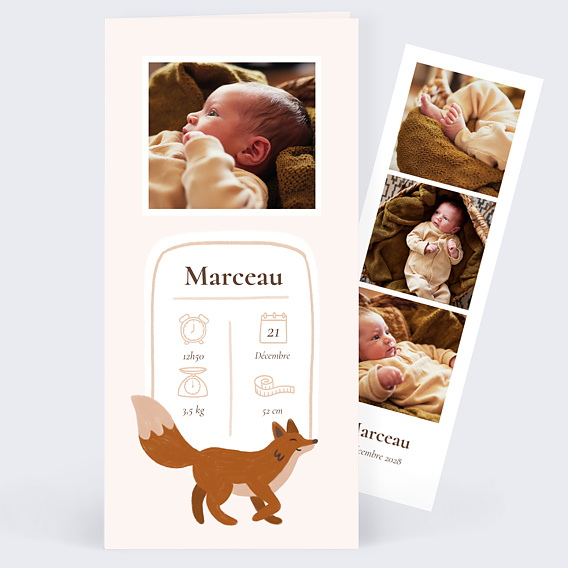 Faire part naissance Renard picto