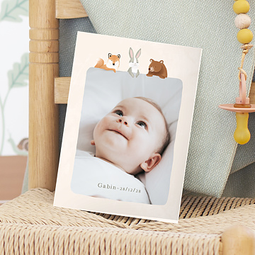 Faire-part Naissance Dcouverte en fort