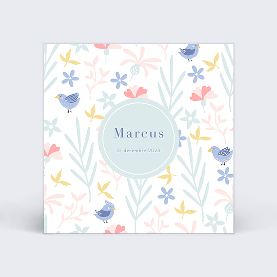 Faire part naissance Oisillons