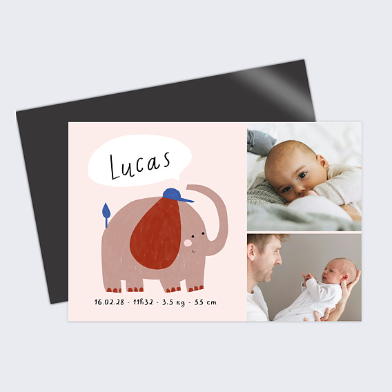 Faire part naissance Petit Éléphant