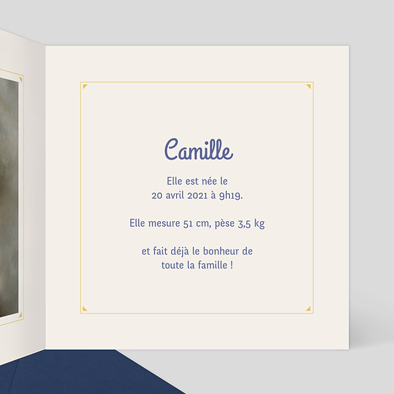 Faire part naissance Cheval à Bascule Intérieur Droit