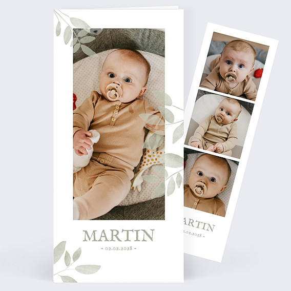 Faire part naissance Jolis brins