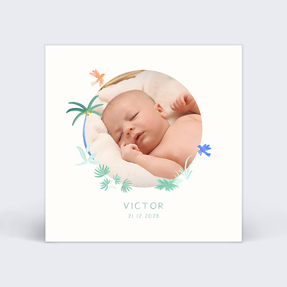 Faire part naissance Petits oiseaux