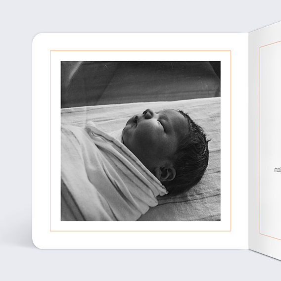 Faire-part Naissance Petite Crevette