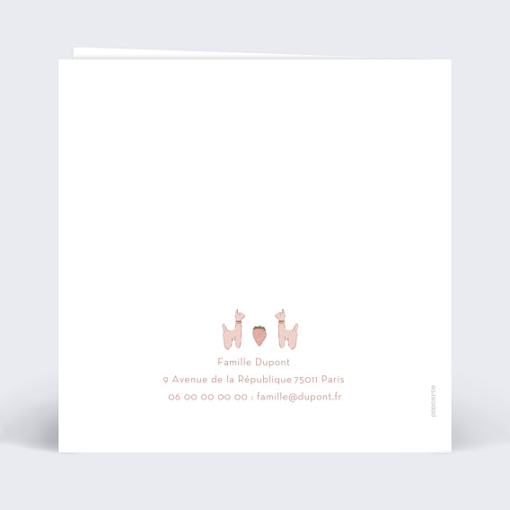 Faire part naissance Mobile Verso