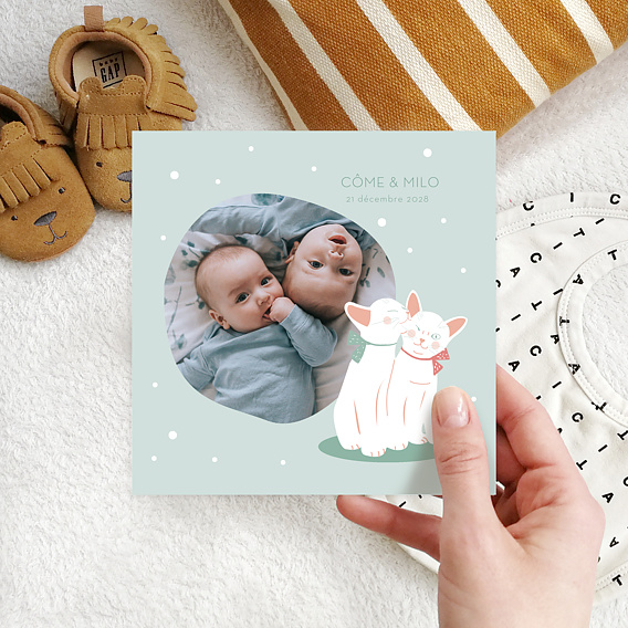 Faire part naissance Chat Après 4