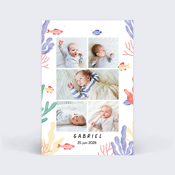 Faire-part Naissance Aquatique