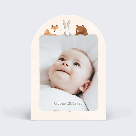 Faire part naissance Découverte en forêt