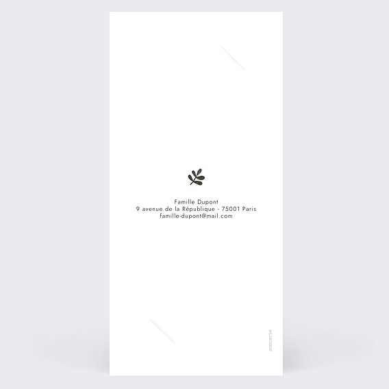 Faire-part Naissance Pictos savane