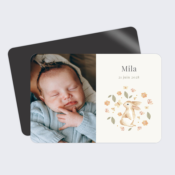 Faire part naissance Lapin champêtre