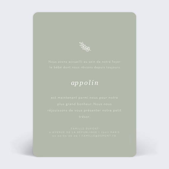 Faire part naissance Tilleul Verso