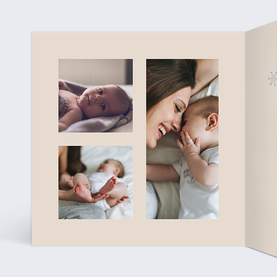 Faire part naissance Pingouin Intérieur Gauche