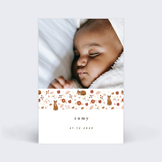 Faire-part Naissance Frise Renard