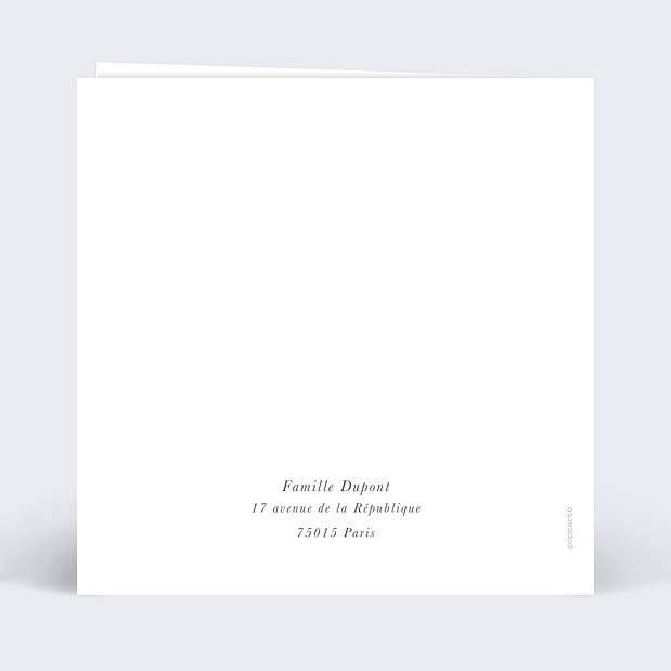 Faire-part Naissance Certificat Tableau Verso