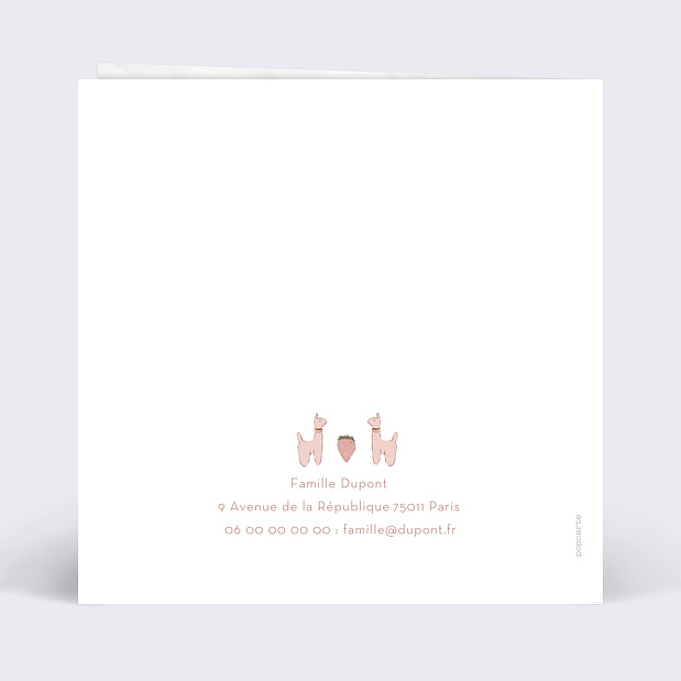 Faire-part Naissance Mobile Verso