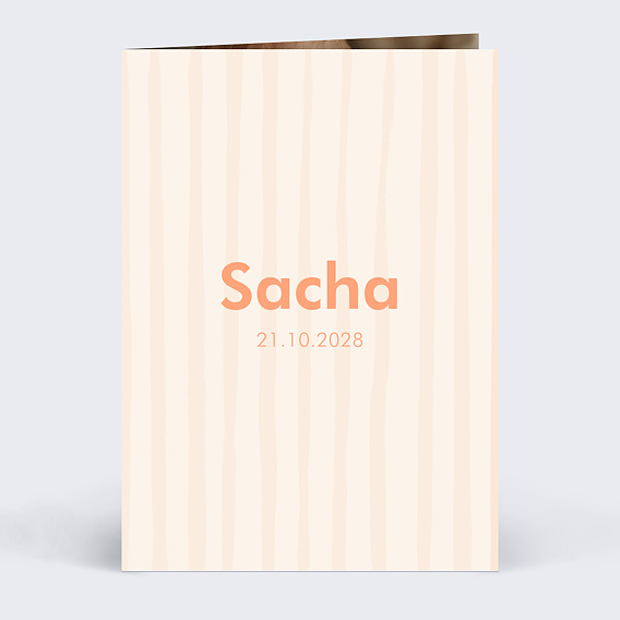 Faire part naissance Petit bonheur