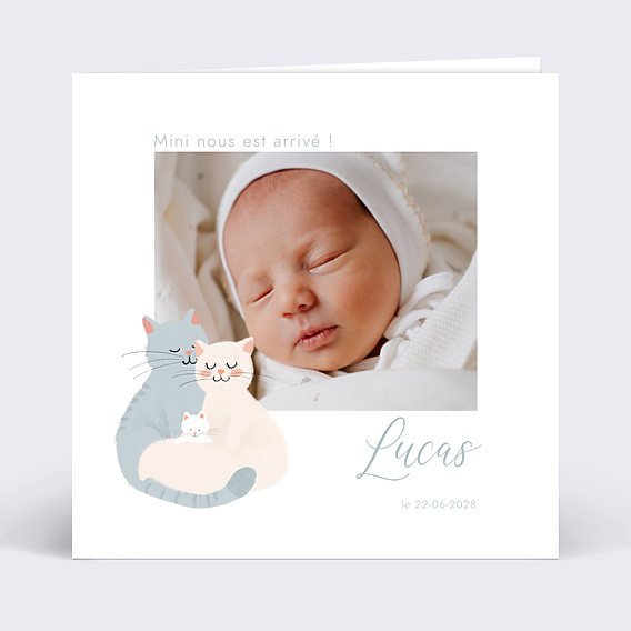 Faire-part Naissance Famille chat