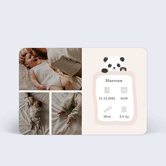 Faire-part Naissance Pictos panda