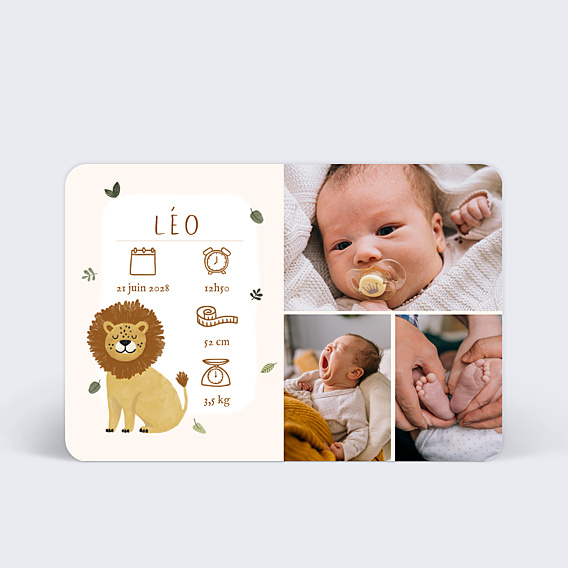 Faire-part Naissance Lion picto