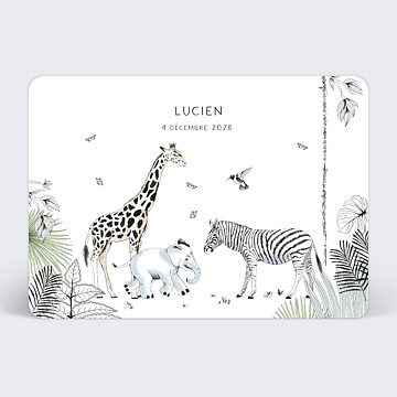 Faire-part Naissance Animaux Sauvages