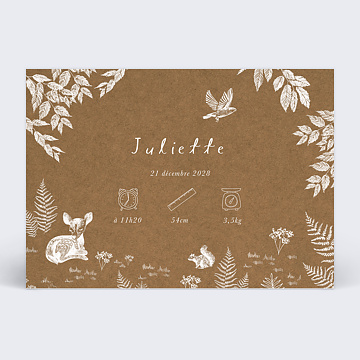 Faire-part Naissance Crayon Blanc Kraft